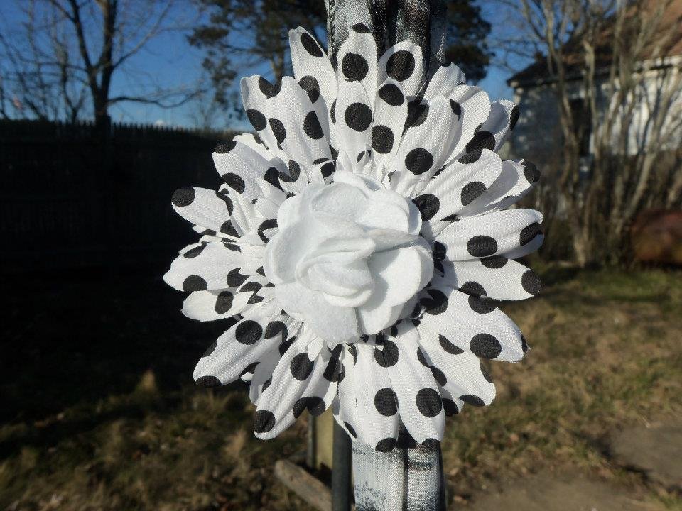 Michele Torres' album, Recent creativity attempts