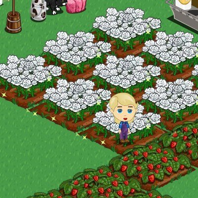 Anna Larrabee's album, FarmVille Photos