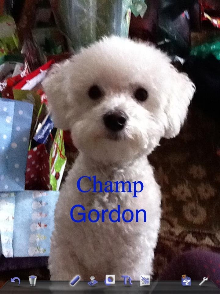 Larry Gordon's album, Untitled Album