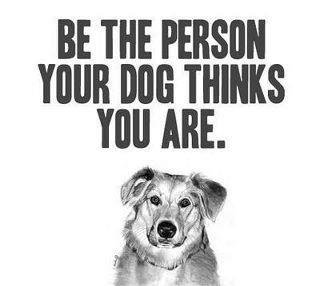 Barbara Jankovich's album, Timeline Photos