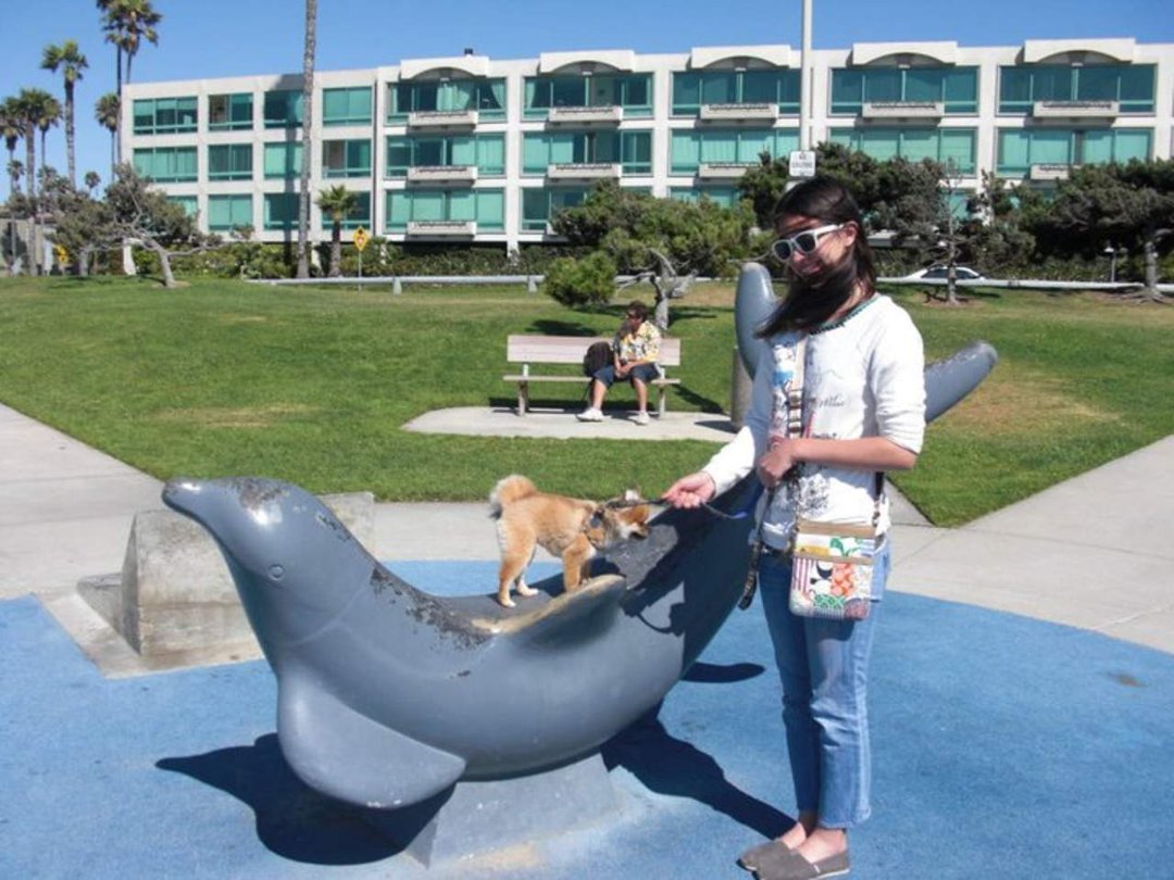 Sandra Chu-Damiani's album, at Redondo Beach summer 2011