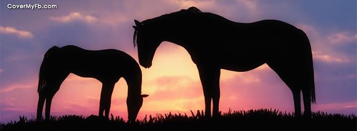 Coreen Murphy's album, CoverMyFb.com - Facebook Profile Covers