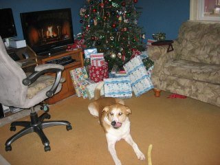 David Jaeger's album, Christmas 2012