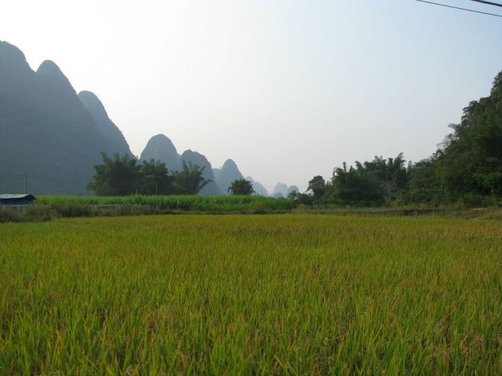 Perry Hendrickson's album, CHINA 2 2009