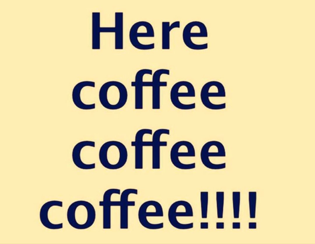 Tracie Wankowicz's album, Timeline Photos