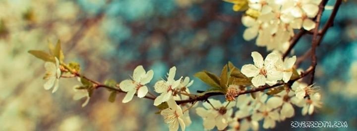 Coreen Murphy's album, Cover Photos