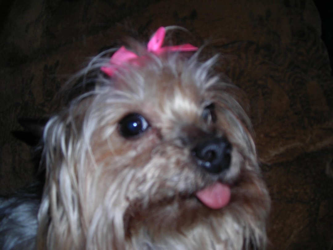 Connie Countryman's album, Sophie's 1st day home