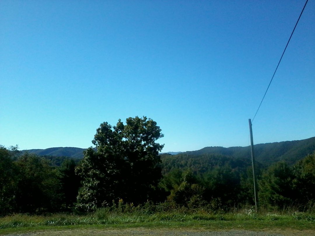 Elizabeth Shupe's album, Mobile Uploads