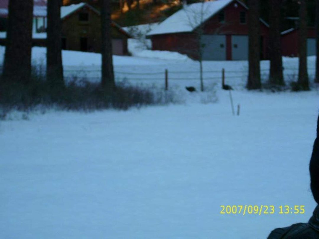 lyn sheridan's album, Leavenworth December 2011