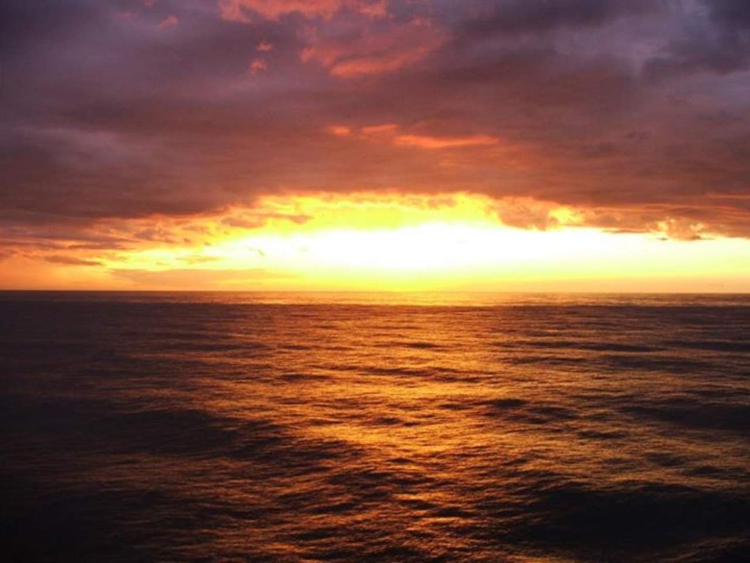 Eric Zeitner's album, Cover Photos
