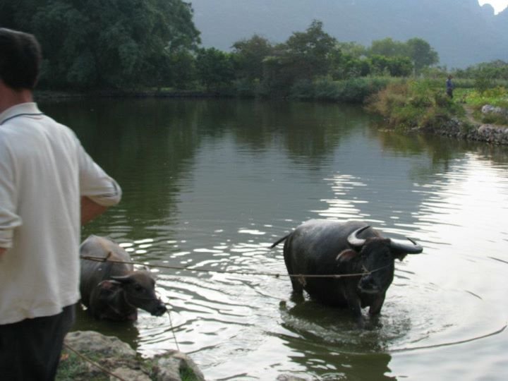 Perry Hendrickson's album, CHINA 2 2009