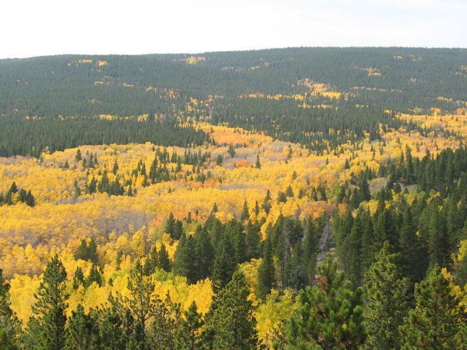 Ray Wampler's album, Fall Colors 2012