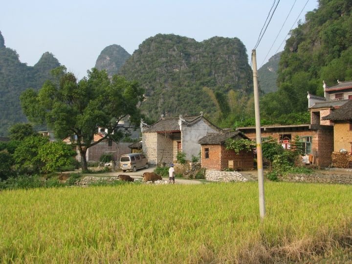Perry Hendrickson's album, CHINA 2 2009