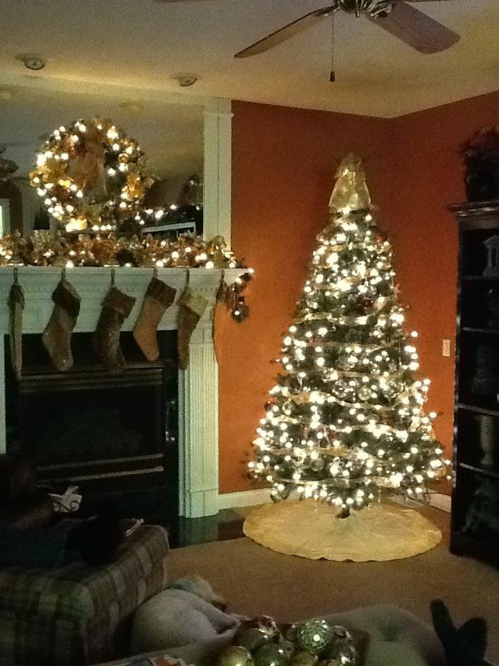 Lisa Weaver's album, Timeline Photos