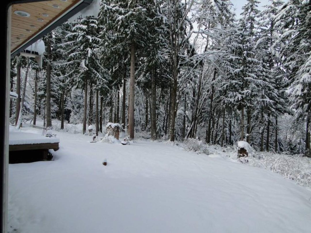Coralee Green's album, Snow 2/2011