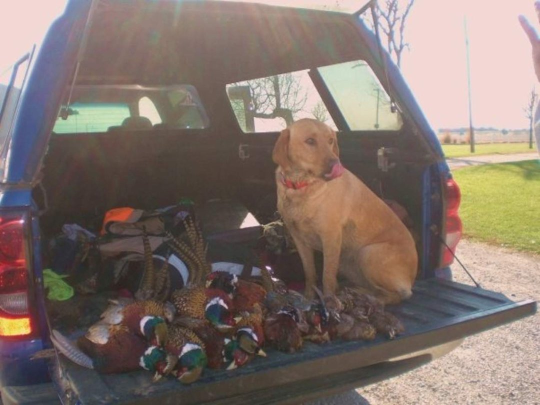 Michael Harford's album, Centrailia Kansas Hunt