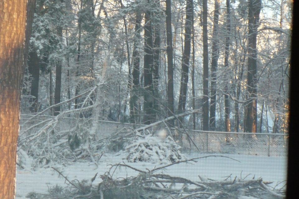 Jim Wise's album, December 2012 Storm