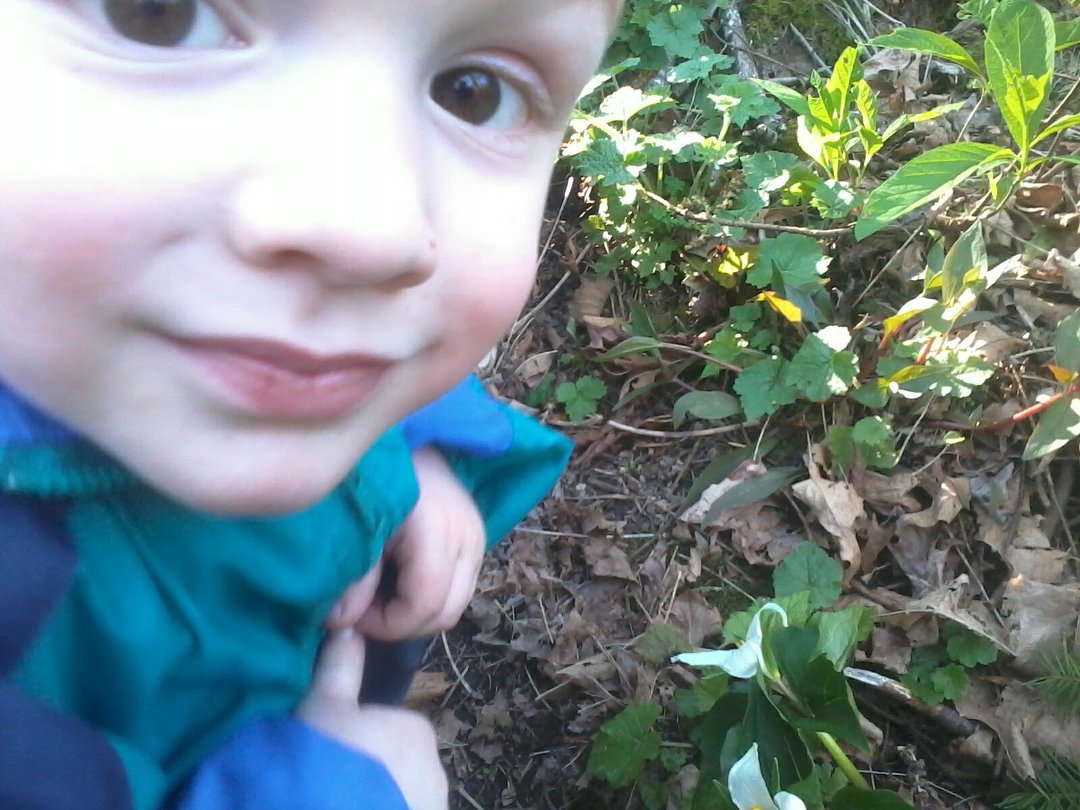 Cameron Jones' album, Mobile Uploads