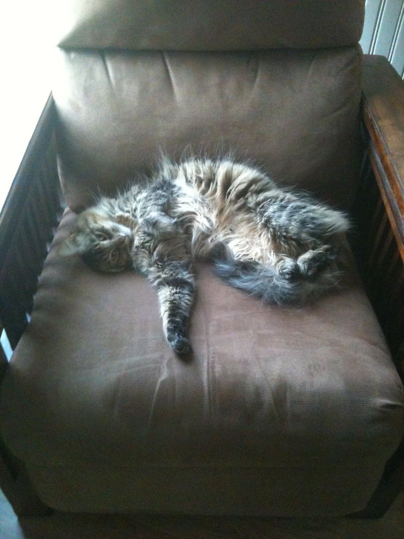 Don Conrad's album, Pets