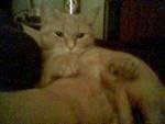 Chrystal Kizer's album, Timeline Photos