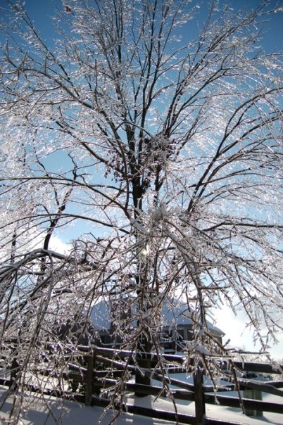 Mike Prather's album, Kentucky Ice Storm 2009