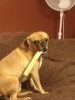 Mark Hathaway's album, iOS Photos