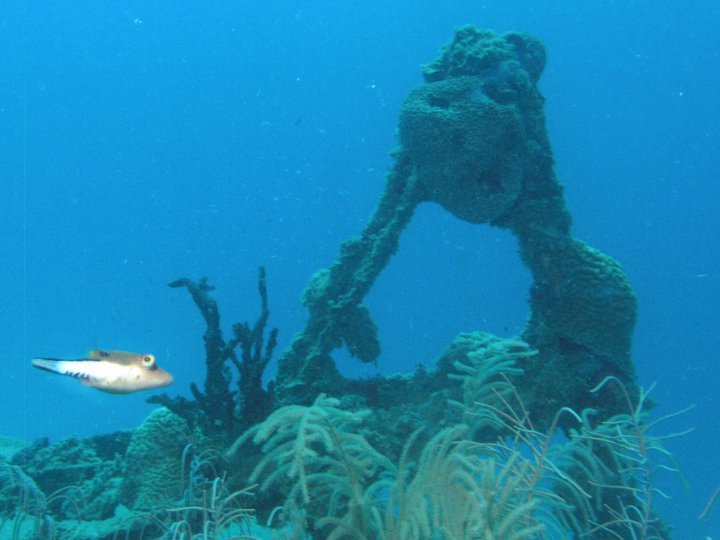 Garry Cardwell's album, Roatan Honduras 6-2010