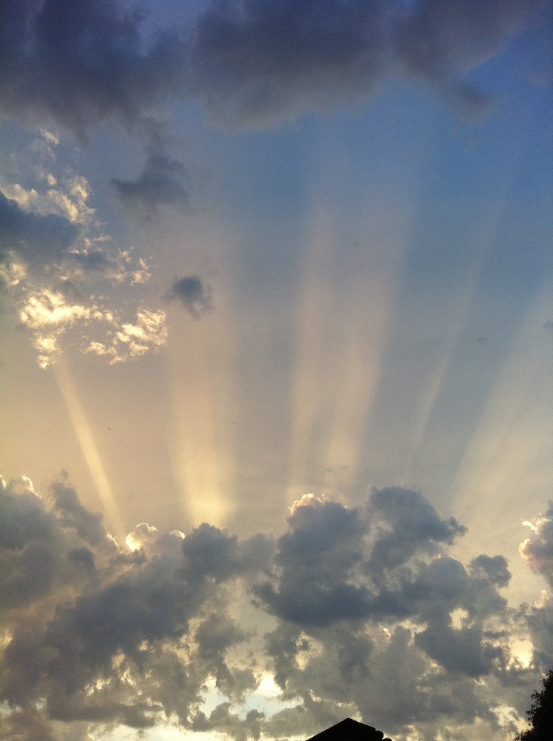 Sandy Wheeler's album, Mobile Uploads