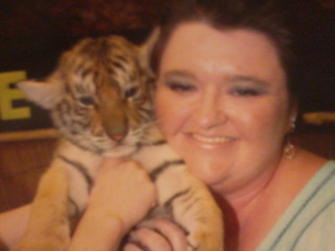 Elizabeth Shupe's album, Cover Photos