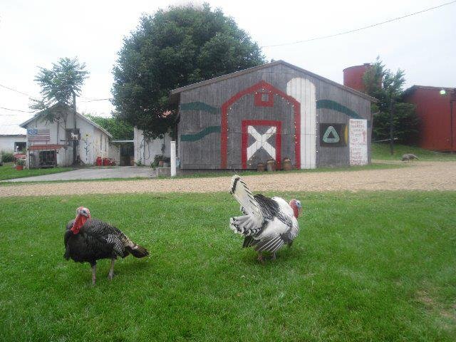 Kimberly Hartke's album, Cover Photos