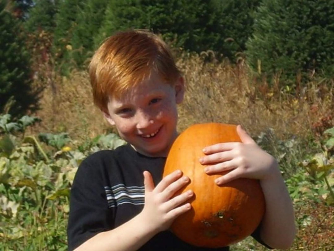 Ginger Abrams' album, fall fun
