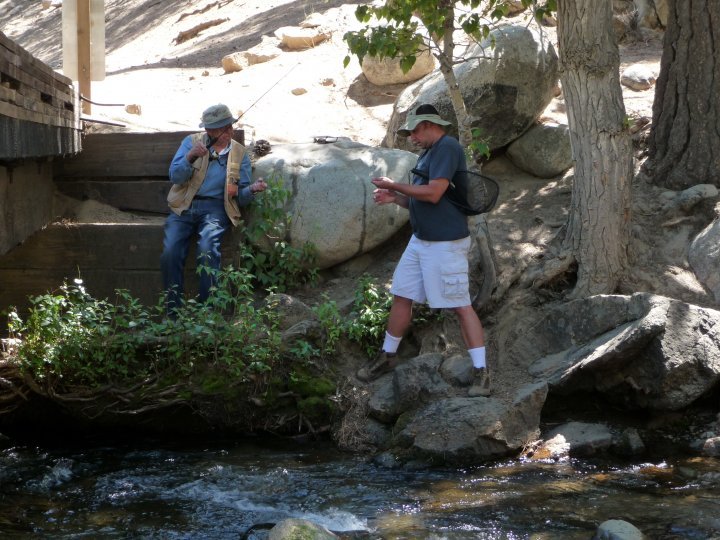 Robert Tepner's album, More Bridgeport 2009