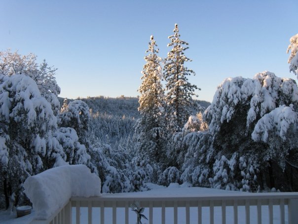 Roger Latimer's album, Snow