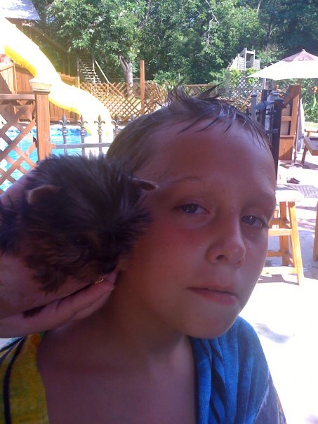 Margay Callison's album, Pictures