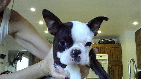 Sandy (Miller) Severson's album, Webcam Photos
