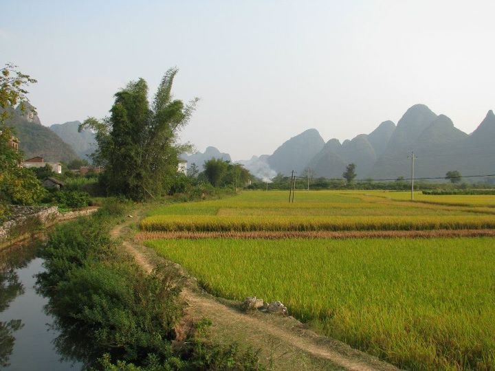 Perry Hendrickson's album, CHINA 2 2009