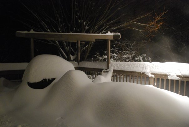Donna Greenwald's album, winter wonderland