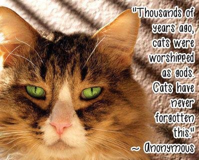Debra Weatherby's album, Timeline Photos
