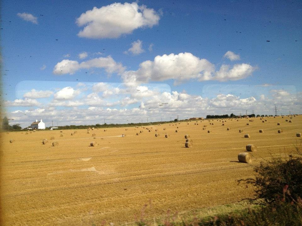 Michael Martin's album, Out the Window of a Train