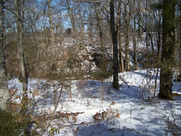 Mark Cagle's album, 2010 winter