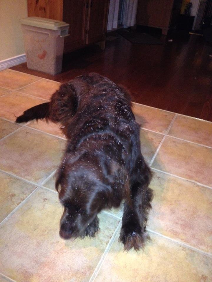 Simon Langan's album, iOS Photos