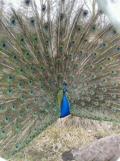 Kim Harrison's album, Timeline Photos