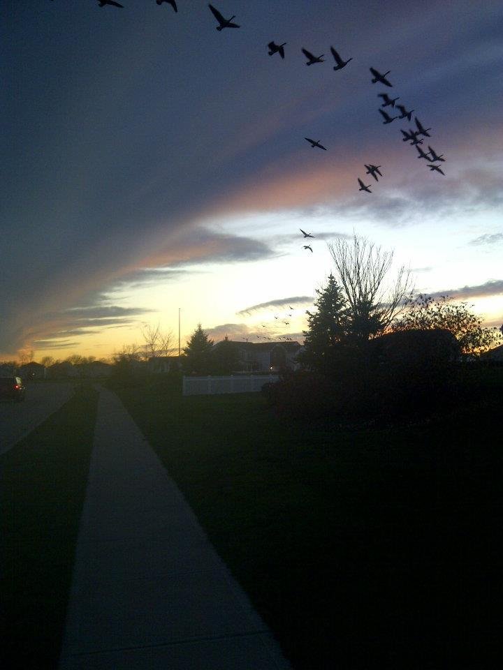 lauri derringer's album, November 24, 2011 thanksgiving day