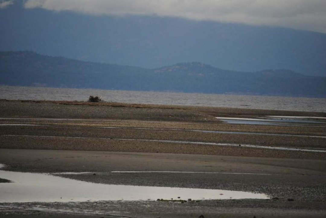 Rick Rozon's album, Parksville 2011