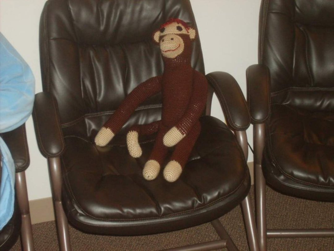 Debbie Snyder's album, Monkey - November 16, 2010