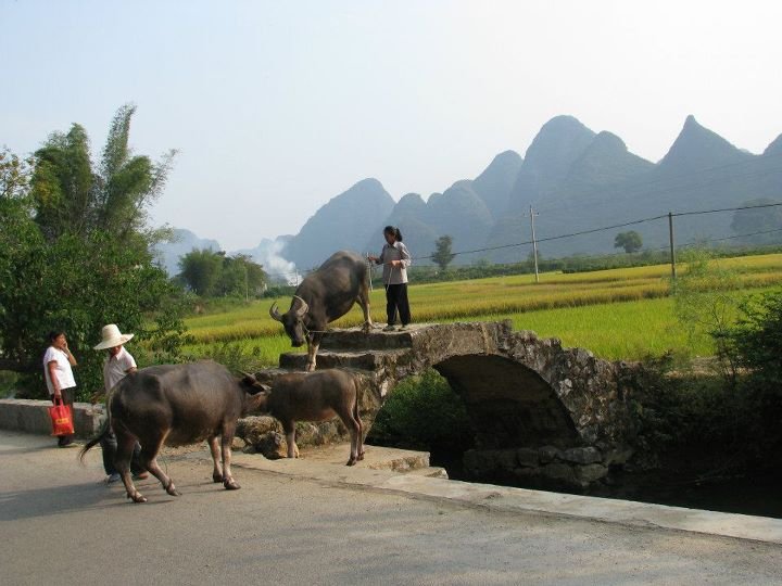 Perry Hendrickson's album, CHINA 2 2009