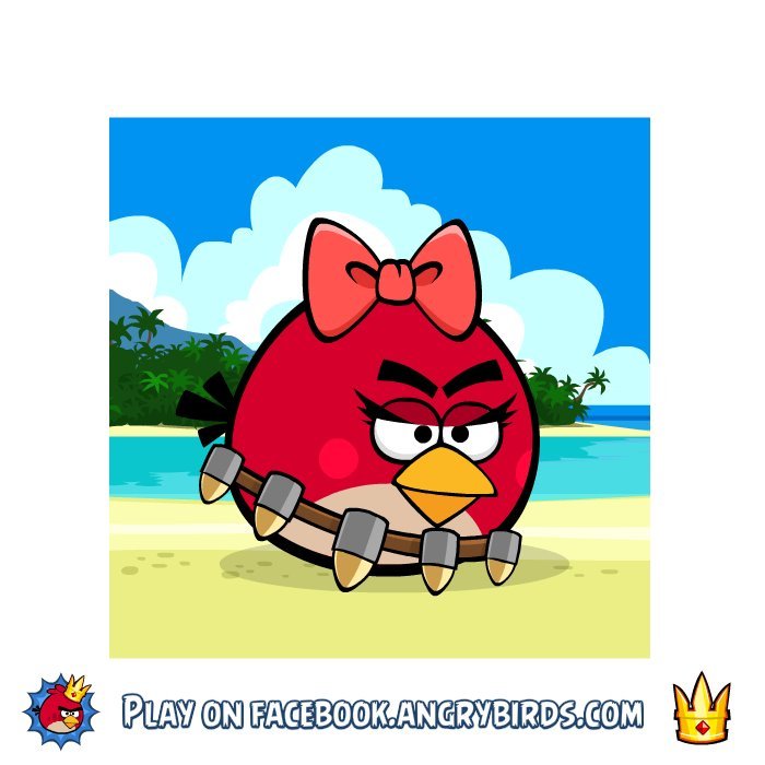 Lisa Johnson's album, Angry Birds Photos