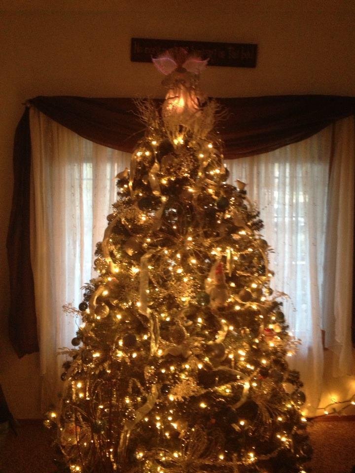 Lance Ables' album, iOS Photos
