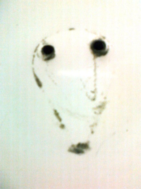 Nancy Berntsen's album, Faces in Places