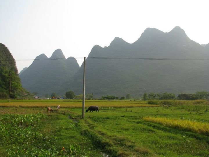 Perry Hendrickson's album, CHINA 2 2009